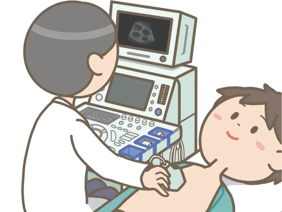 超音波検査（心臓血管系） 